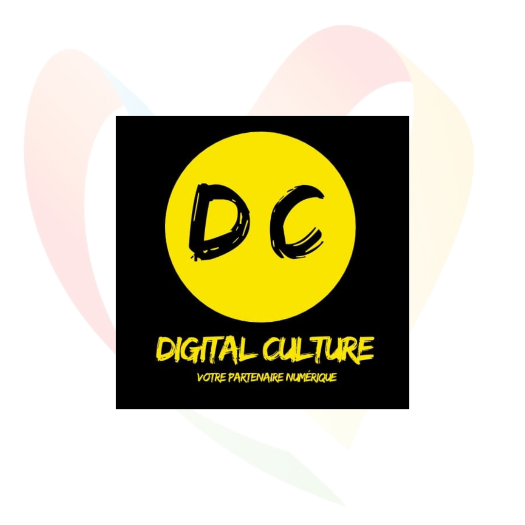 Digital Culture