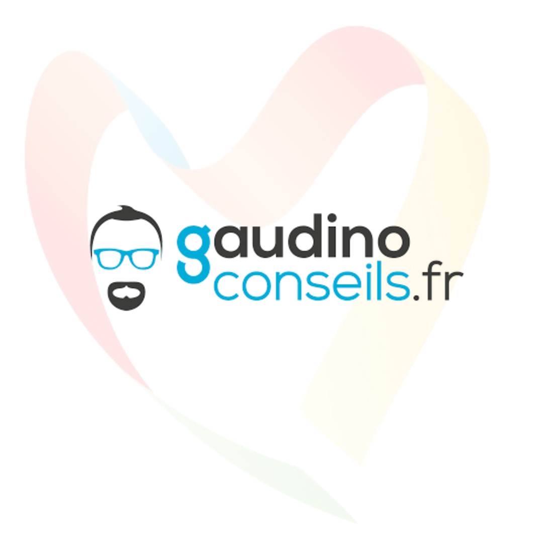 GAUDINO CONSEILS